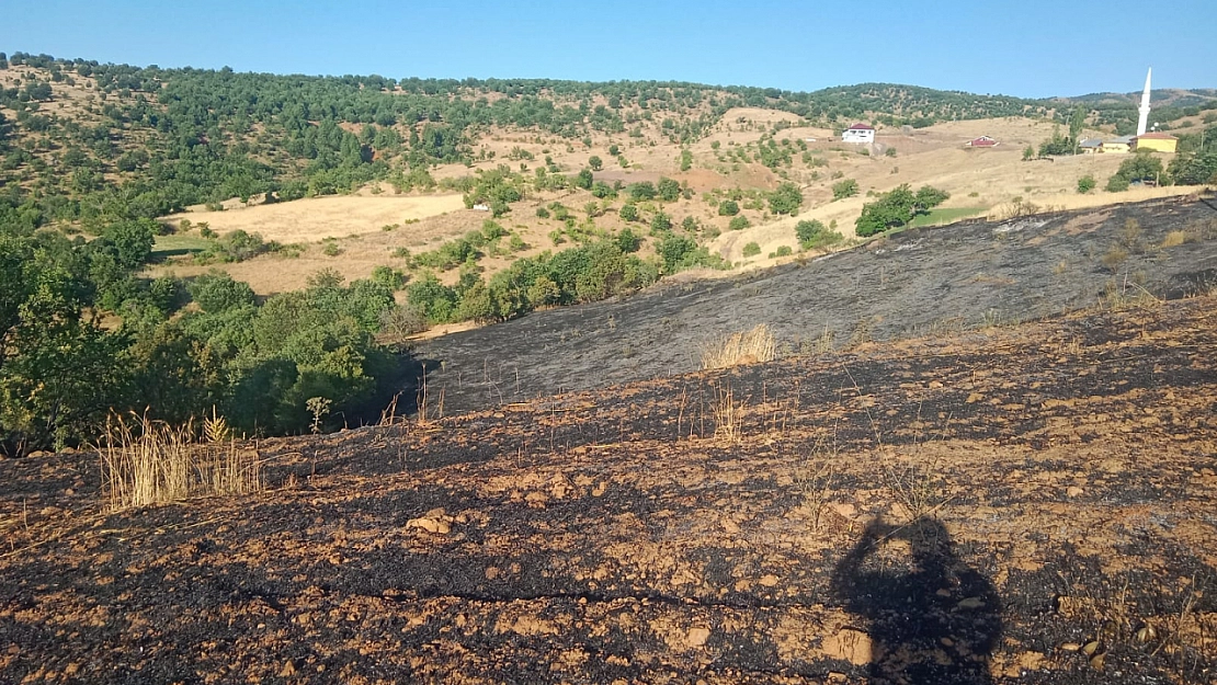 Malatya'da korkutan yangın: 2 ev kül oldu, 20 dönüm bahçe zarar gördü