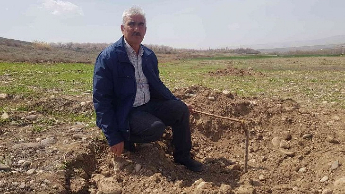 Şaşırtan hırsızlık