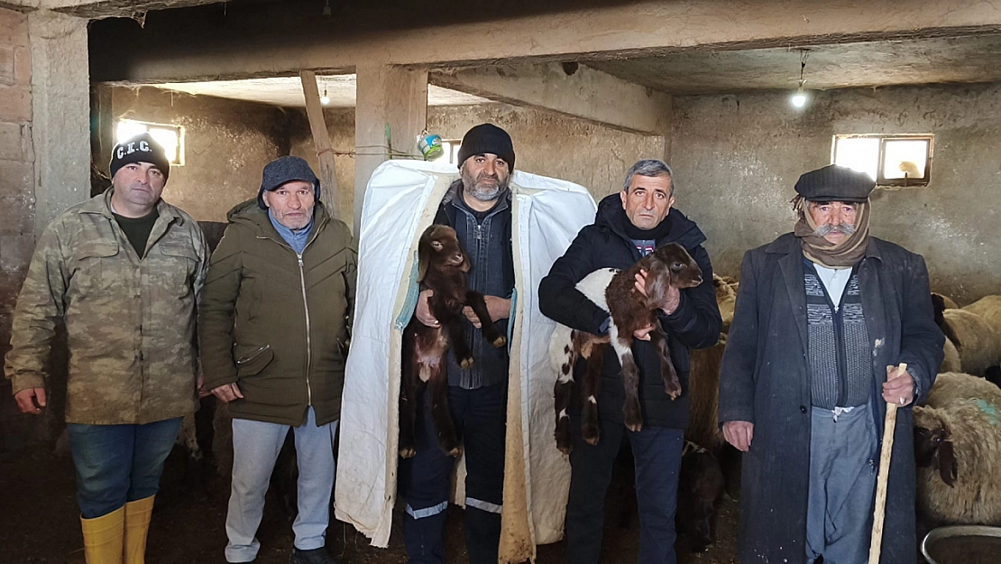 Malatya'da Tapulu Arazilere TOKİ Şoku! Yılmaz Ailesi Hayvanlarıyla Ortada Kaldı!
