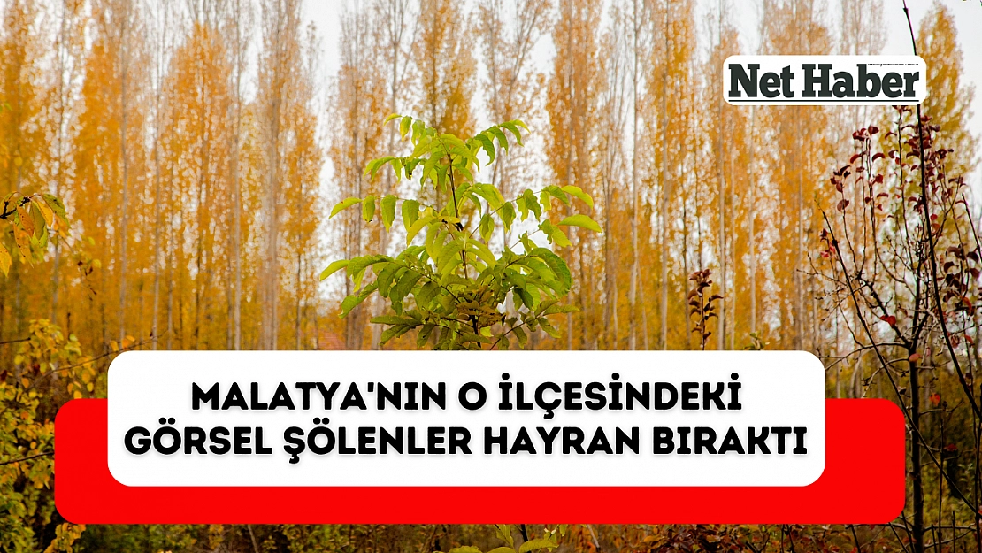 Malatya'nın o ilçesindeki görsel şölenler hayran bıraktı