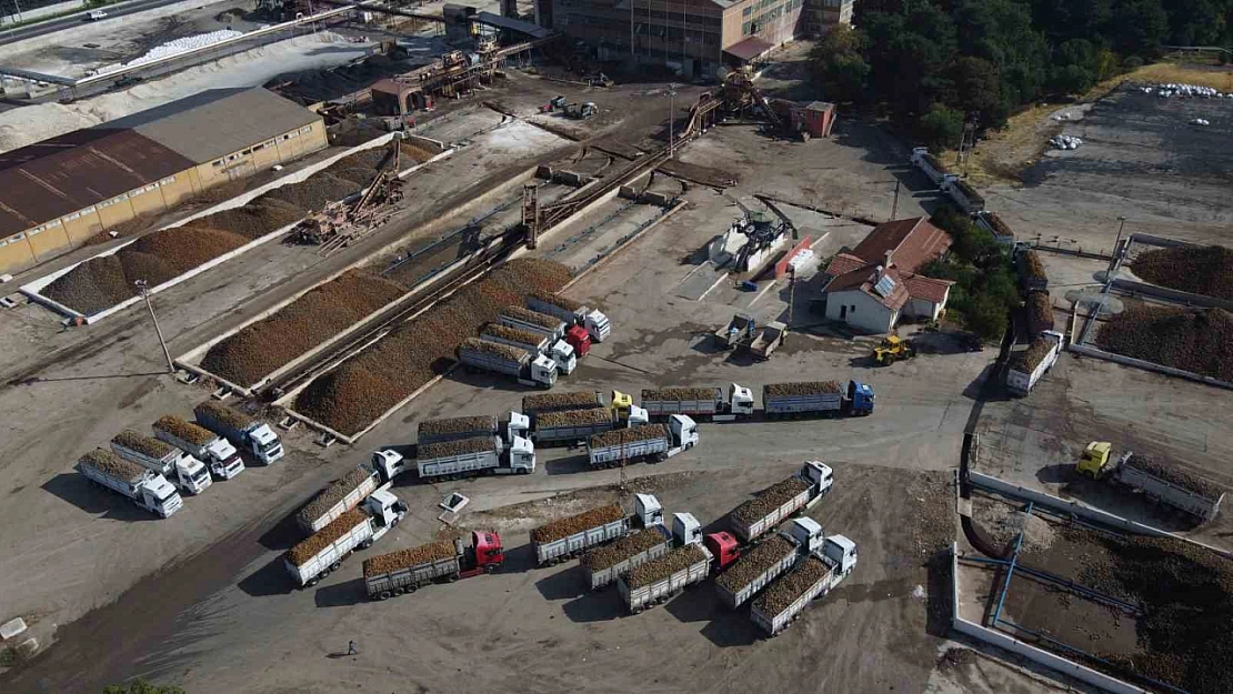 Malatya Şeker Fabrikası'ndan Rekor Üretim: 470 Bin Ton Pancar Alındı!
