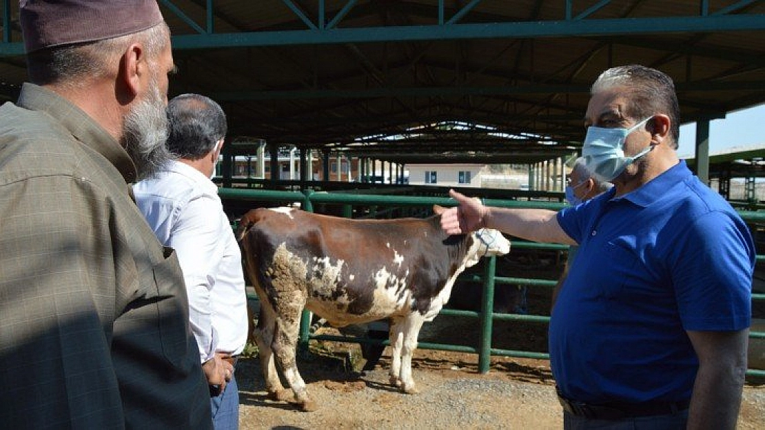 'Marketten kurbanlık almayın'