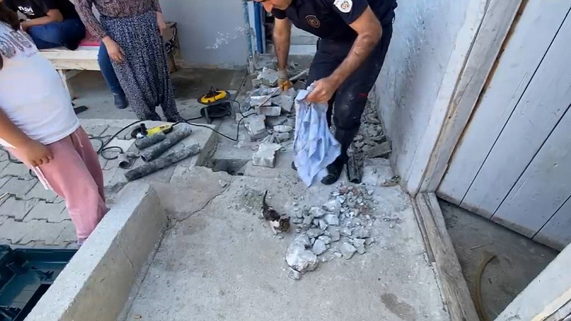 Malatya'da bahçeden gelen sesler itfaiye ekiplerini harekete geçirdi!