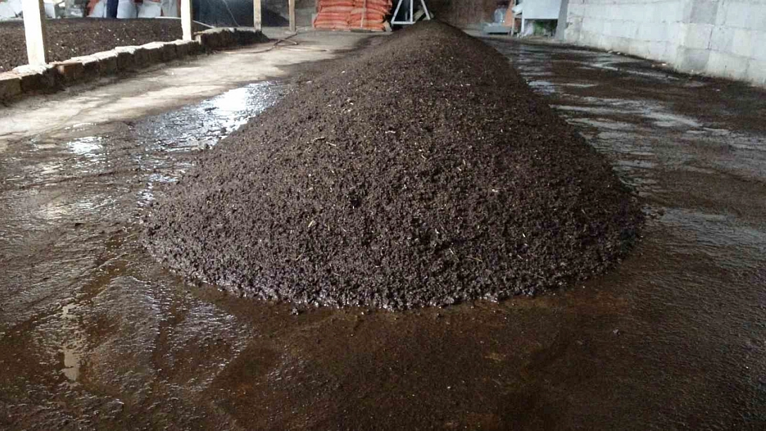 Tarımın yeni gözdesi 'Sıvı Solucan Gübresi'....Tarımda yüzde 30'luk verim artışı!