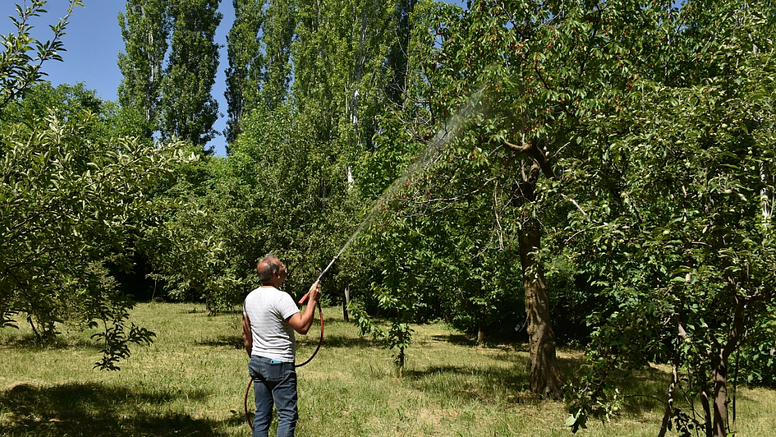 Üreticiler ilaç mesaisinde