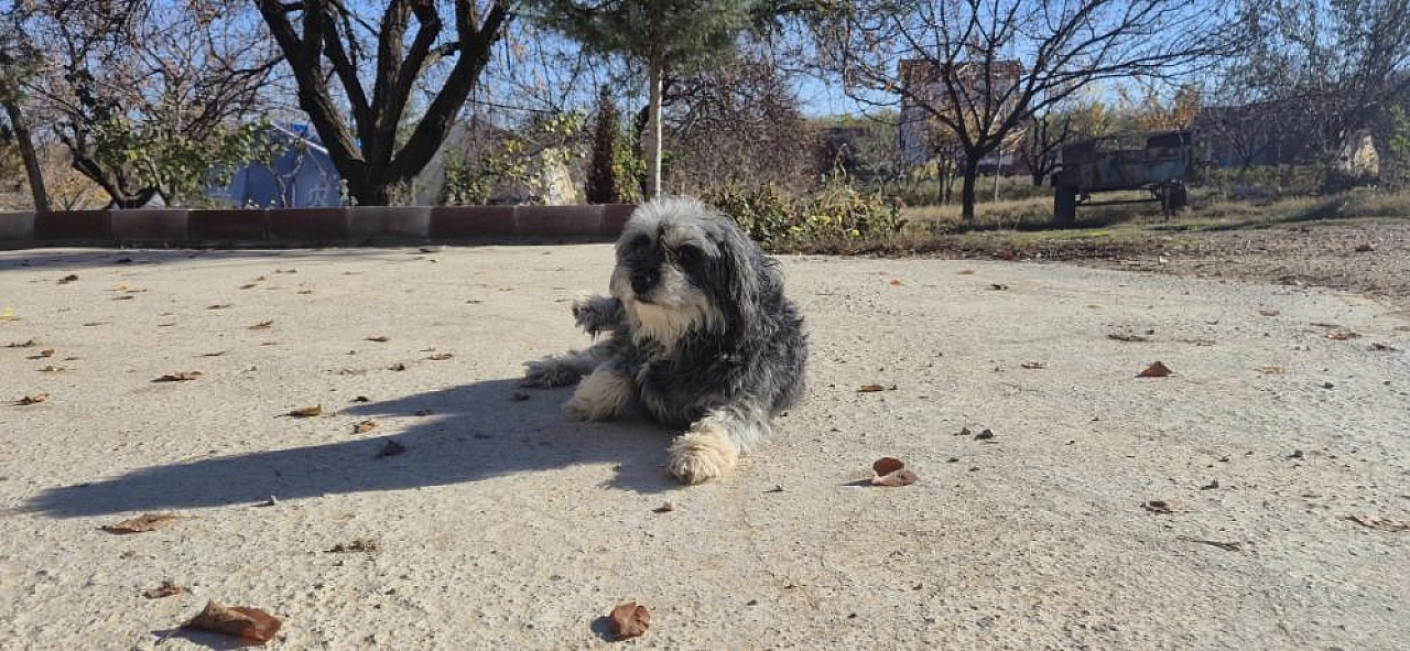 Malatya'da yıllardır süren yanlış anlayış çürütüldü