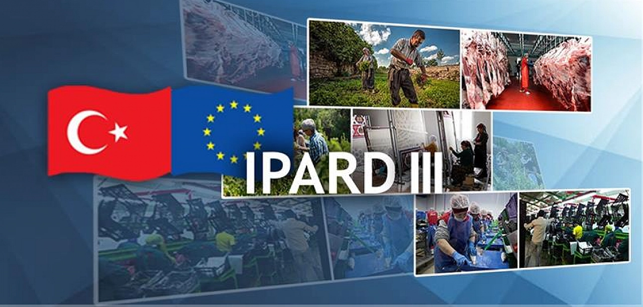 Kırsala 241 Milyon Avroluk Hibe: IPARD III 2026 Çağrı Takvimi Açıklandı