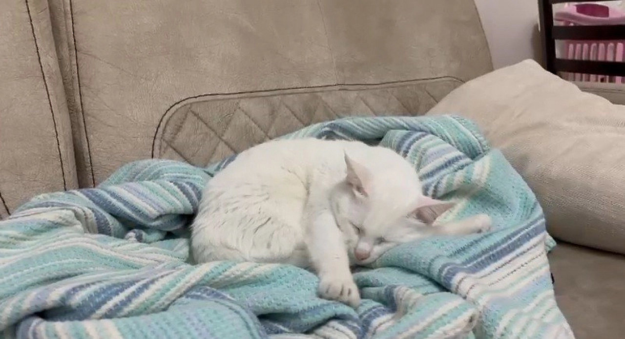 Malatya'da yıllardır süren yanlış anlayış çürütüldü