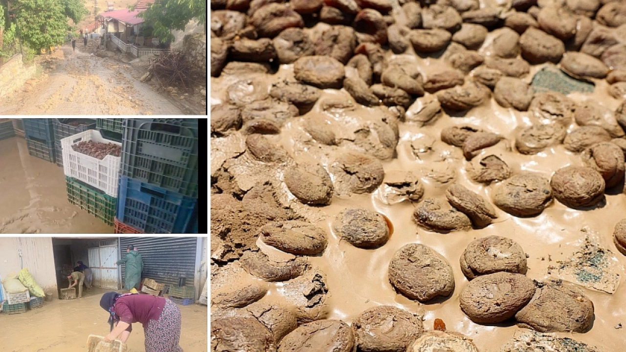 Malatya’da 400 ton kayısı zarar görmüştü: 4 aydır üreticiye destek verilmedi