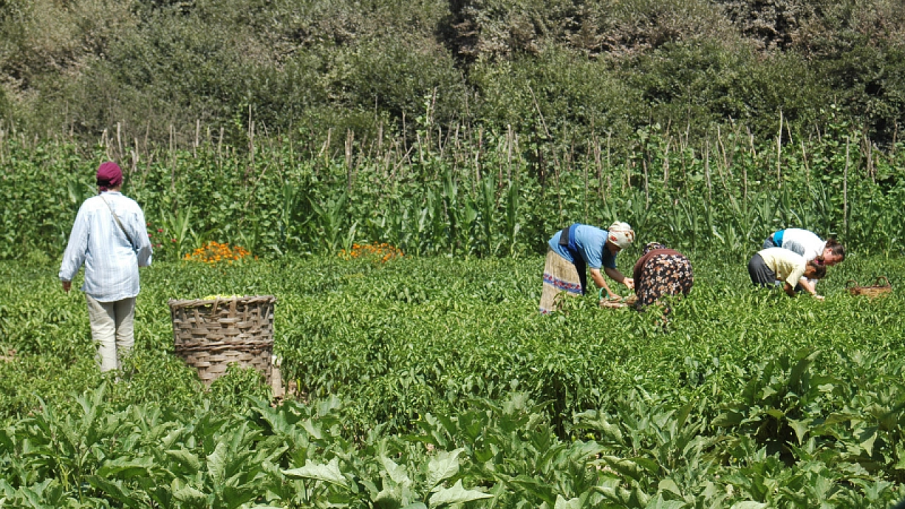 Malatyalılar, hesaplarınızı kontrol edin! Destek ödemeleri yatıyor…