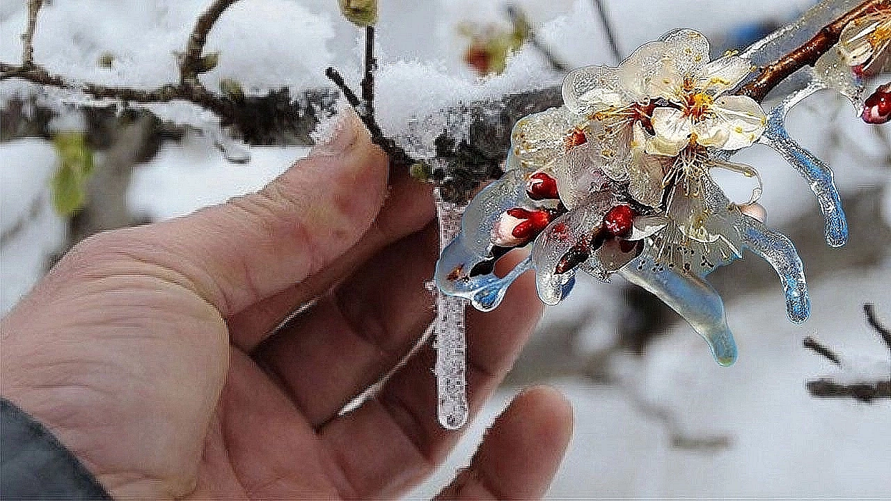 Cumhurbaşkanı Erdoğan Açıkladı! Sarı Altında seneye sıkıntı yaşanabilir…