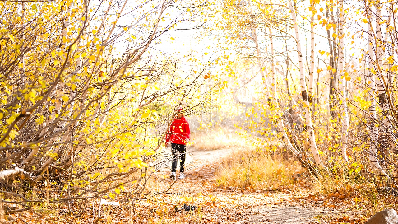 Sonbaharın Eşiğinde Bir Destan: Tarih ve Renk Cümbüşüyle Bitlis