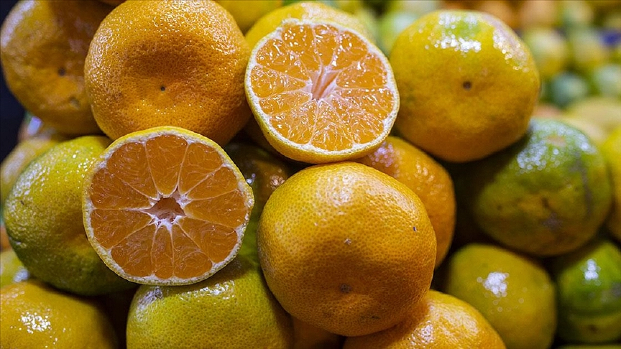 Çay ve portakalı geride bıraktı! Malatya'nın 'Sarı Altını' ülkeye yetiyor