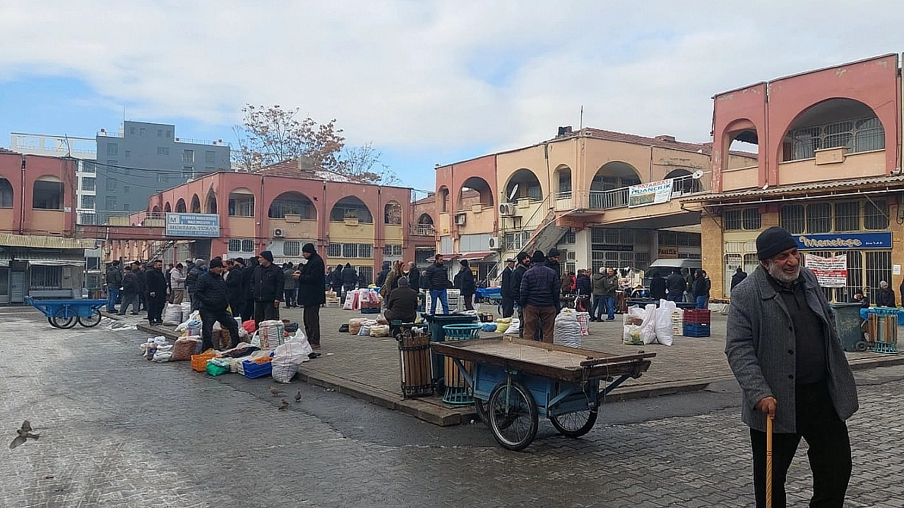Malatya kayısısında fiyat uçurumu büyüyor: Tarlada 220 TL, markette 700 TL!