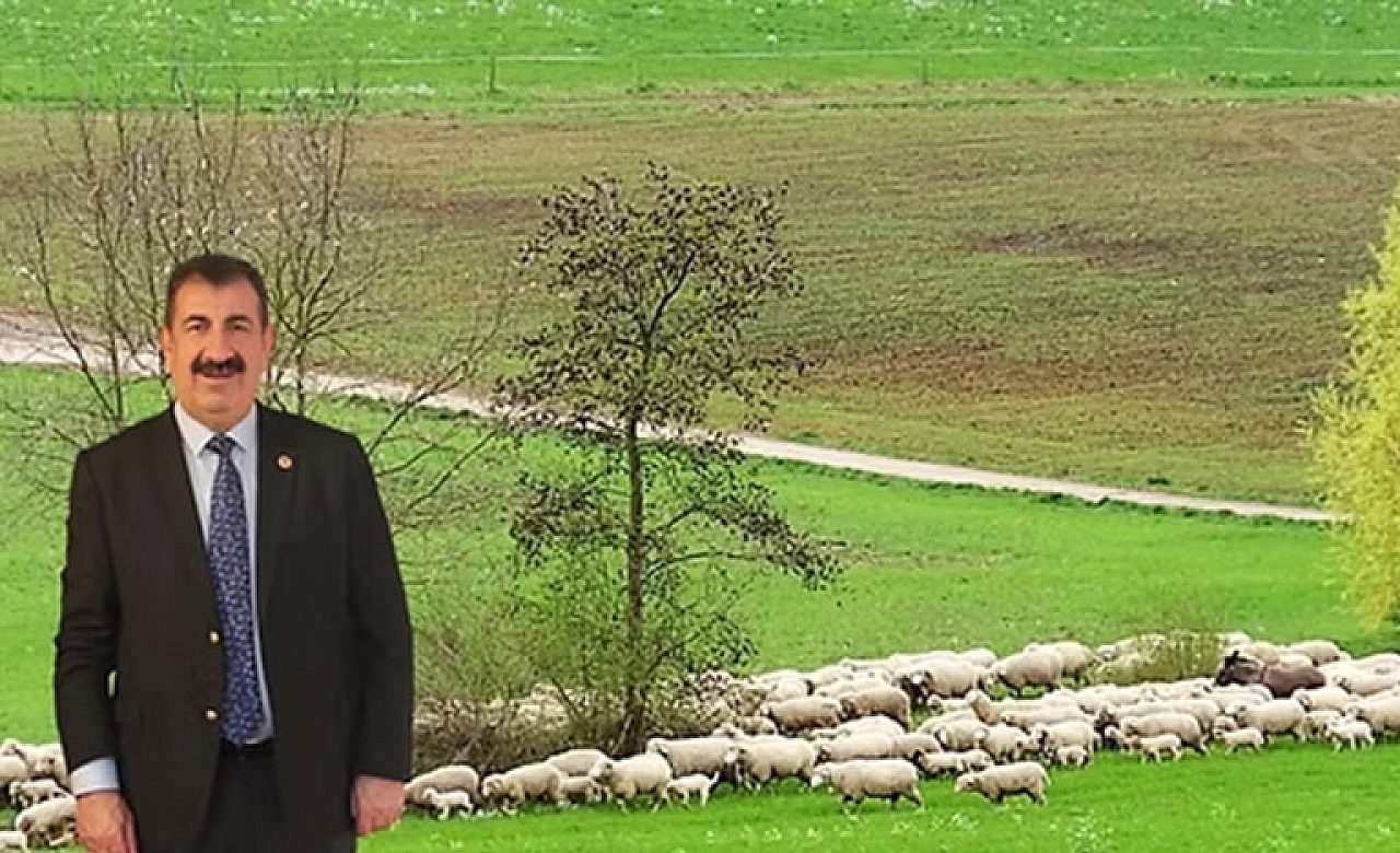 Kurban Sektörü