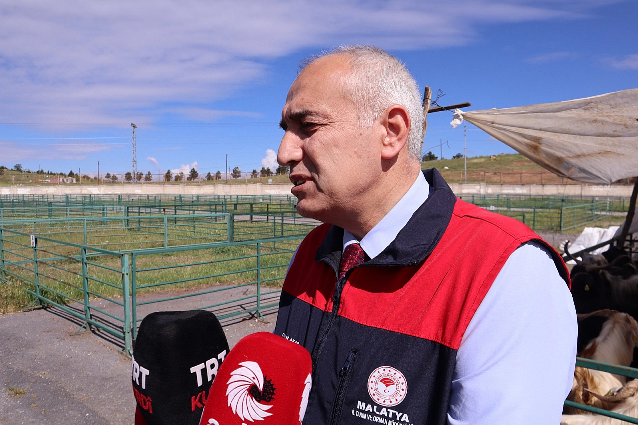 Bayram öncesi endişeler arttı: Malatya'da şap hastalığı yayıldı mı?