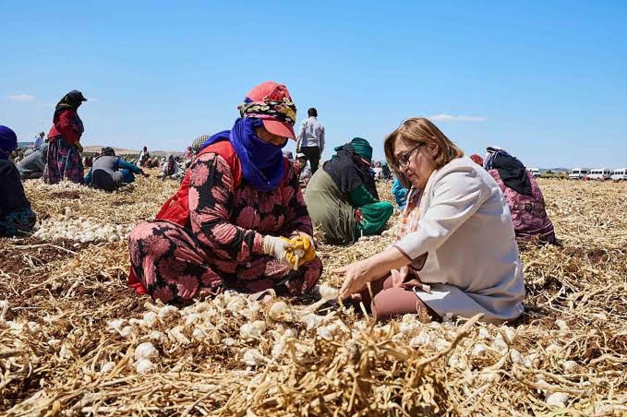 46 bin 423 kişiye destek! Malatya'ya Gaziantep modeli neden uygulanmasın?