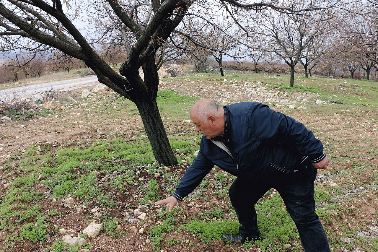 Malatya'da Kayısıyı Bu Kez Dolu Yedi! 'Poliçeler Cep Yakıyor'