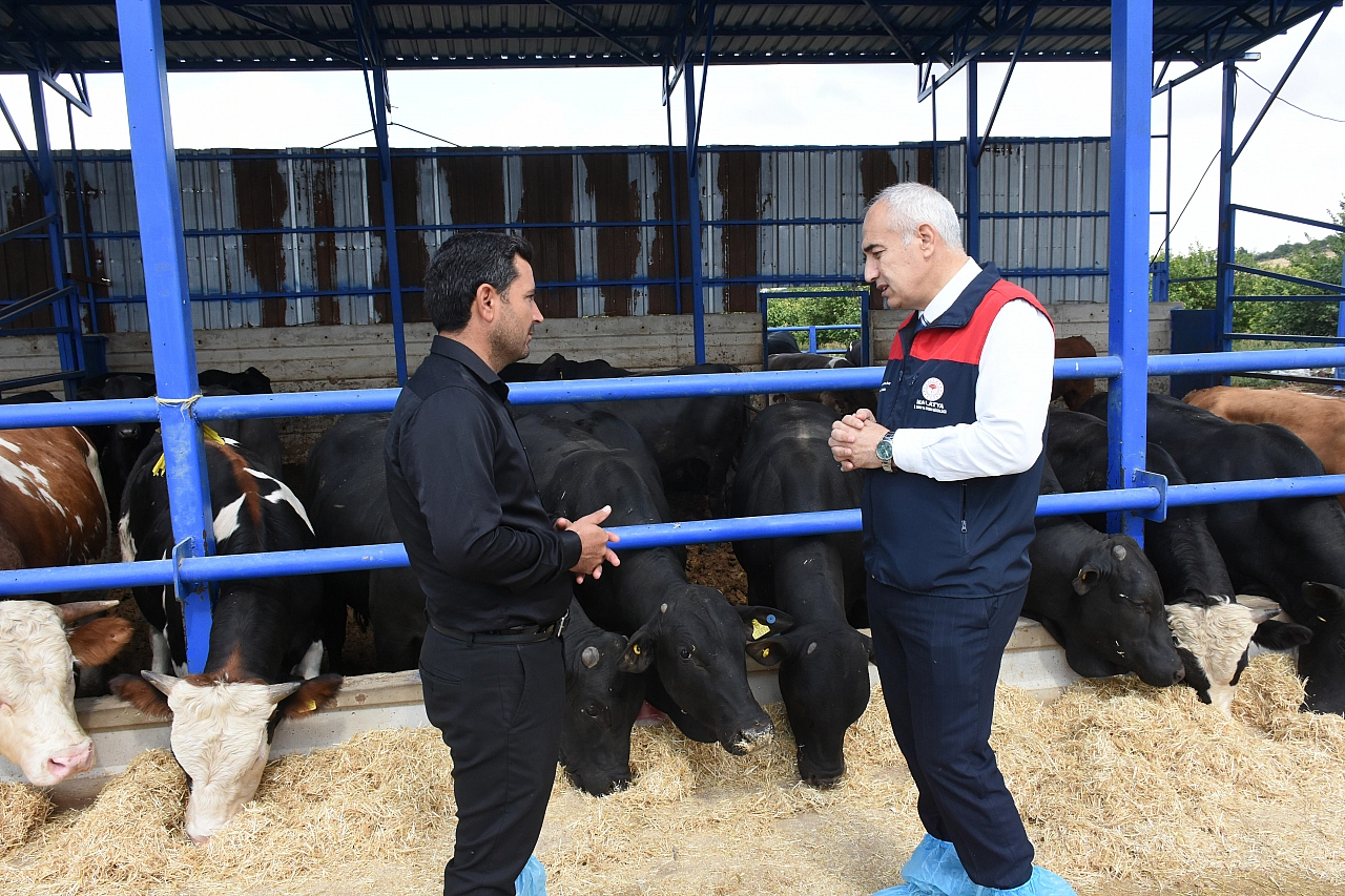 Birçok ilde alarm verildi! Malatya'da şap hastalığı var mı?