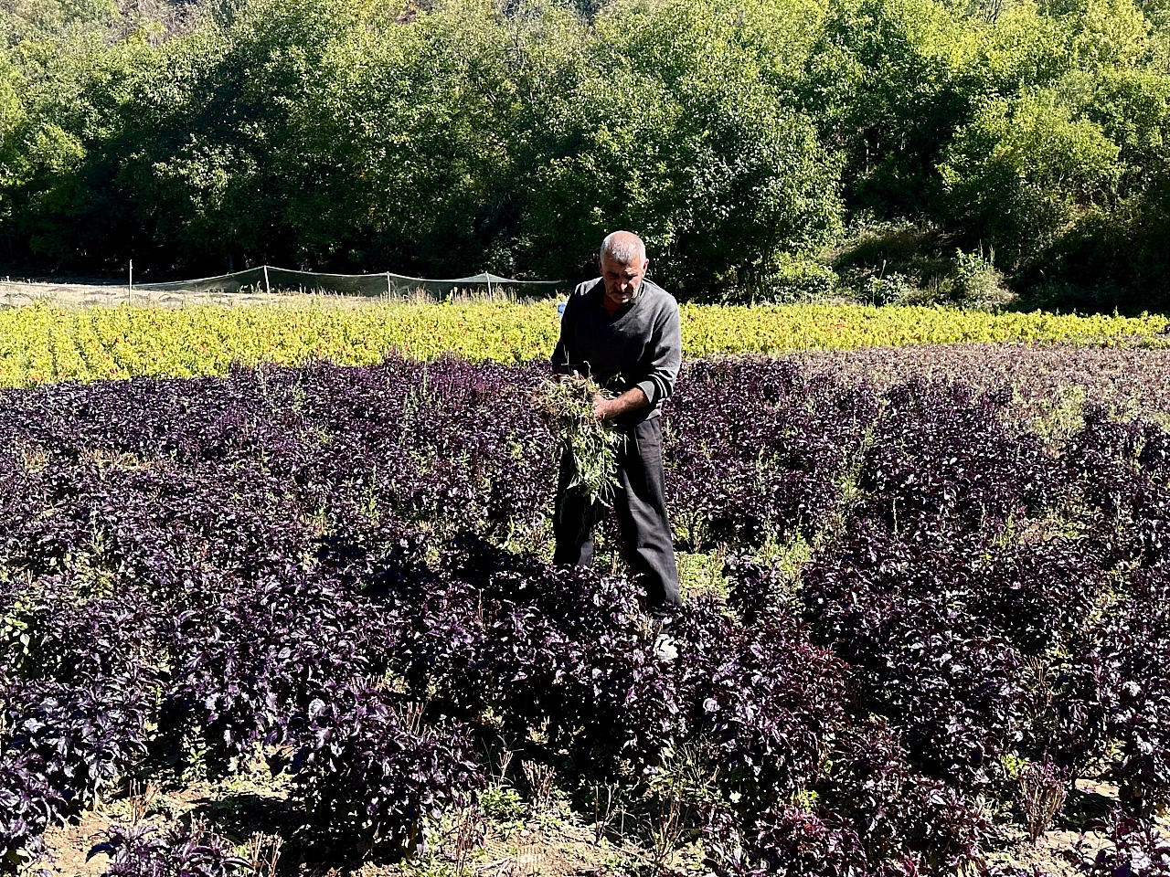 Arapgir Reyhanı Markalaşıyor: Dondurmadan Lokuma Onlarca Ürün Raflarda!