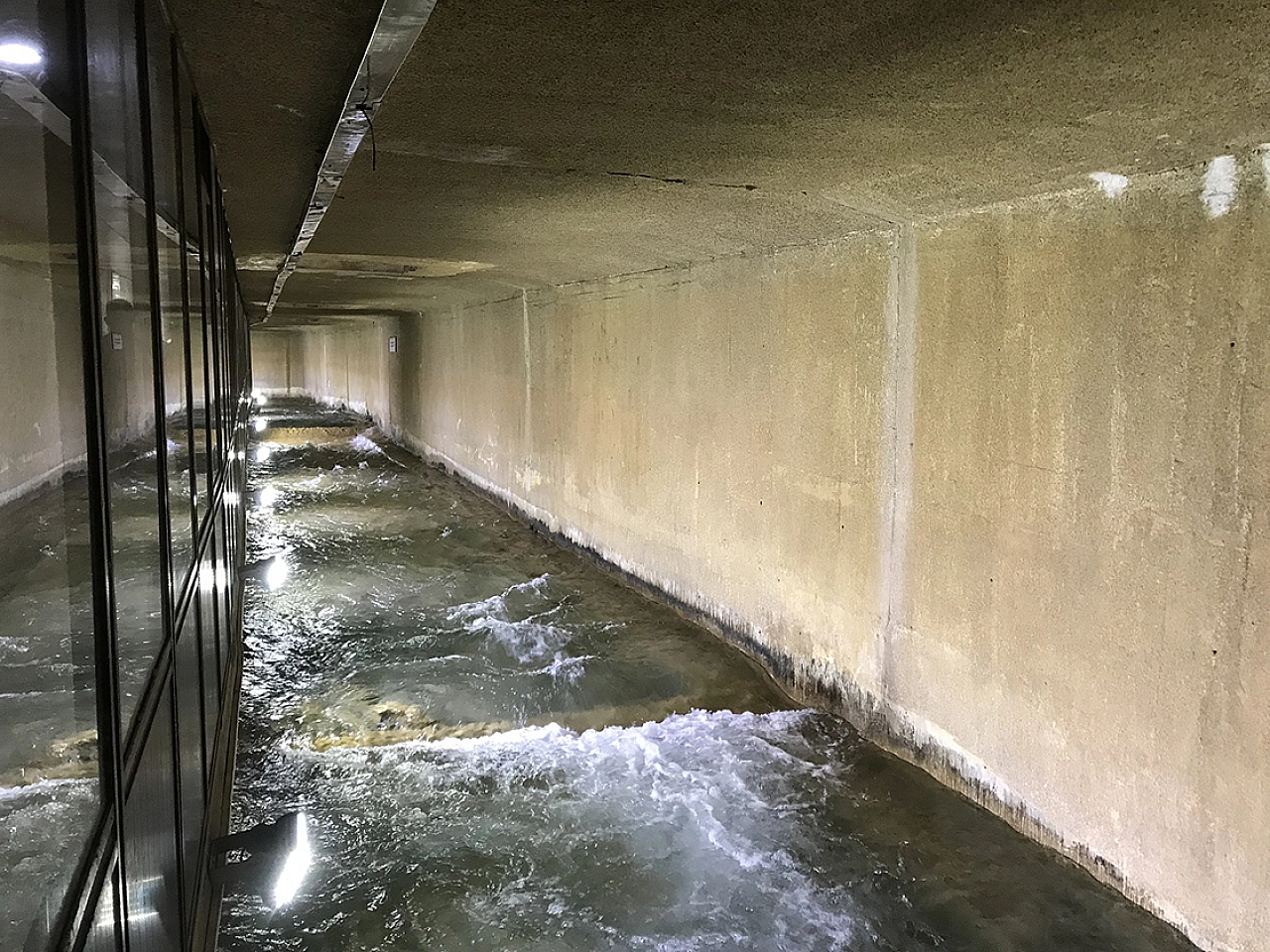 Malatya'da 111 bin 205 Metreküp Su Çekildi: Yarısı Dağıtılmadı…