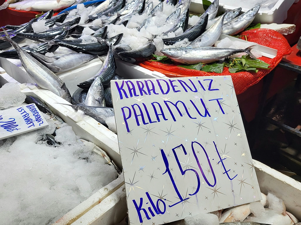 Akaryakıt tezgâha yansıdı: Kıyı illerinde 50, Malatya'da 250 TL'ye satılıyor!