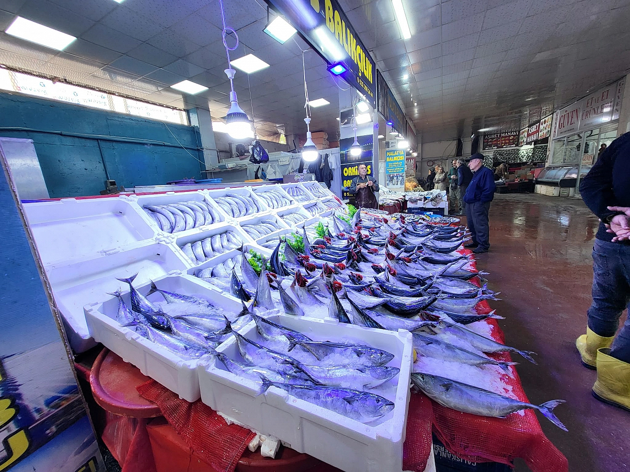 Akaryakıt tezgâha yansıdı: Kıyı illerinde 50, Malatya'da 250 TL'ye satılıyor!