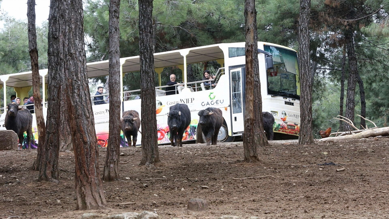 2025'te ziyaretçi rekoru kırdı