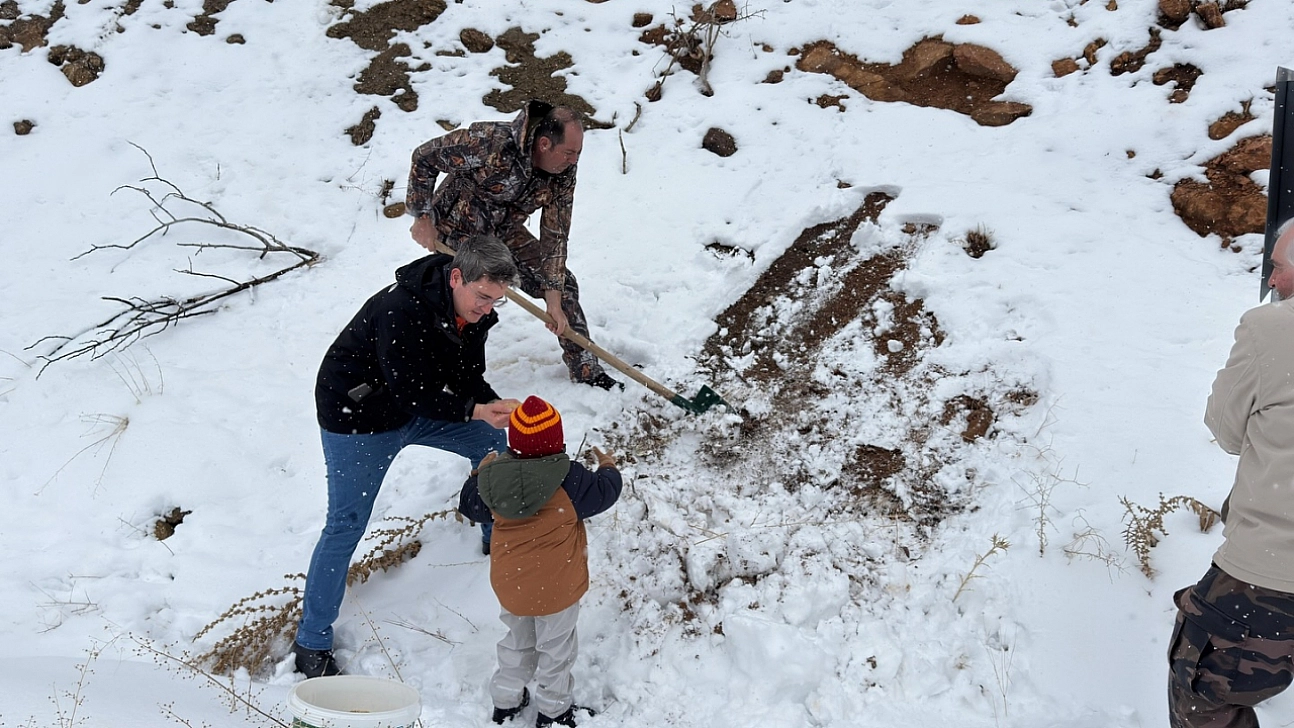 Arazilere yem bırakıldı