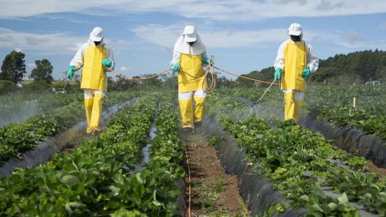 Malatya'ya endüstriyel tarım dayatması