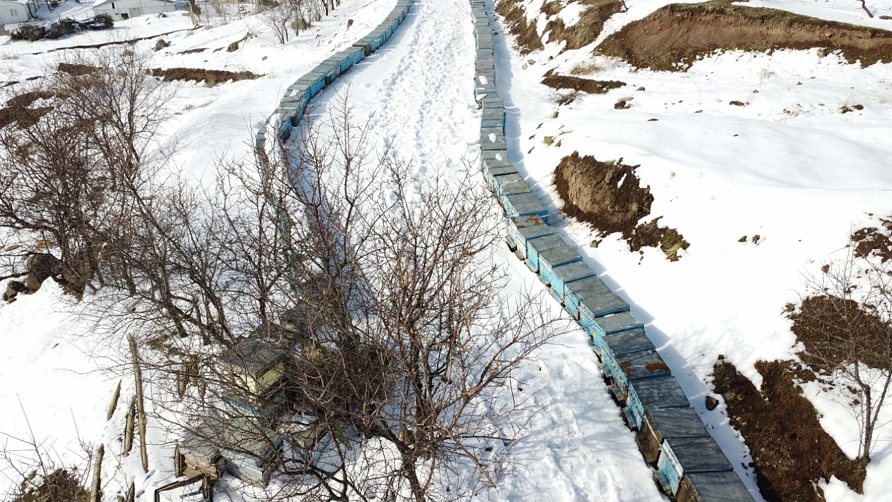 Arıcı ve besiciler yaralarını devlet desteğiyle sardı