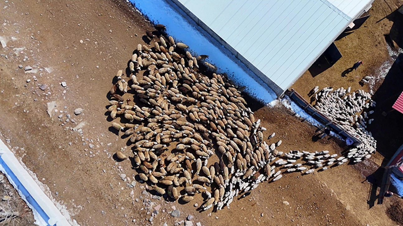 Bakanlık Tescilledi: Malatyalı üreticilere 4,6 milyonluk ek kaynak