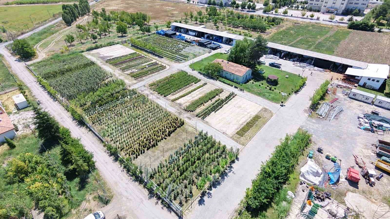 Battalgazi Belediyesi kendi ürettiği bitkilerle yeşilleniyor