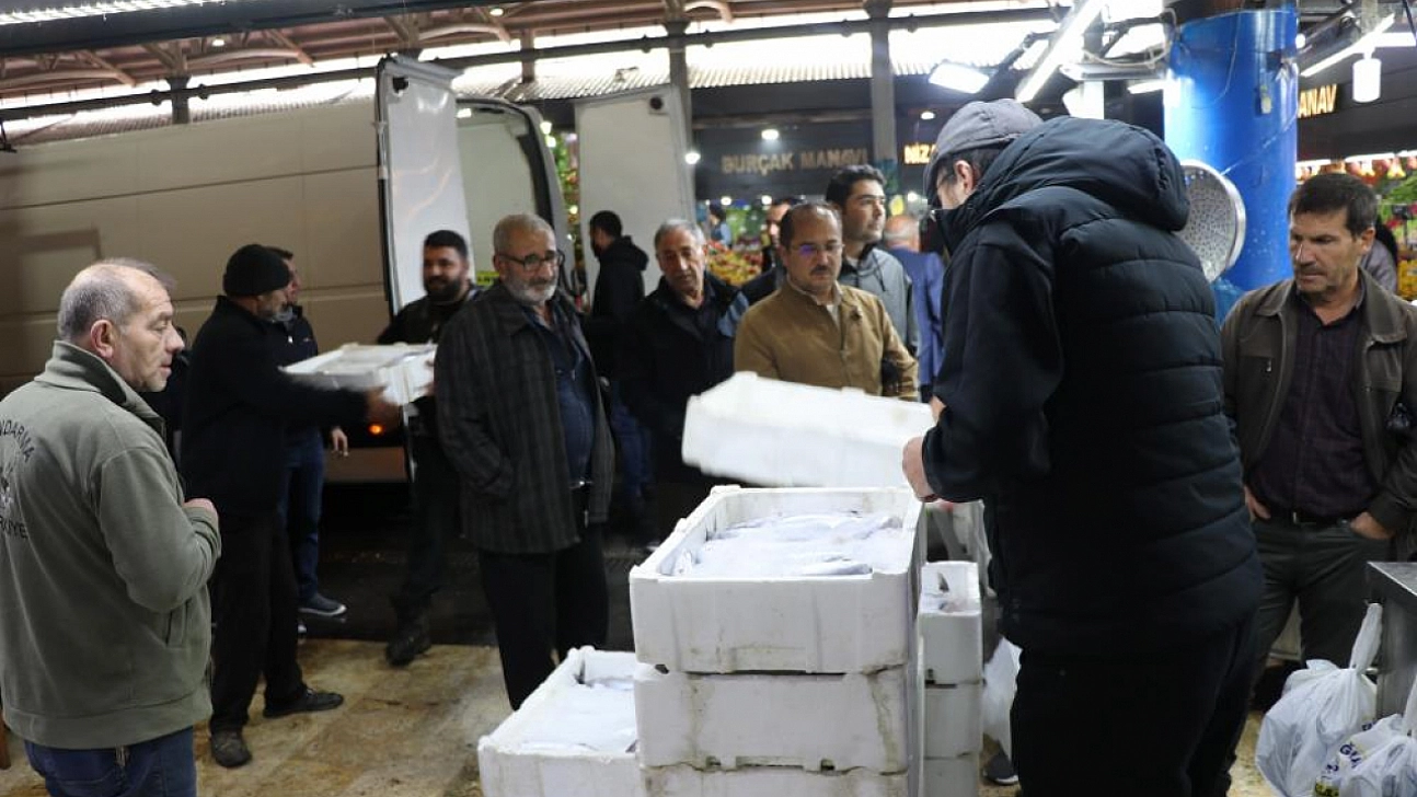 Denizi olmayan kentten Akdeniz ve Ege'ye palamut sevkiyatı