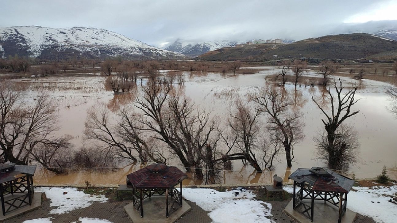 Havşeri Çayı'nın taşması sonucu tarım arazileri zarar gördü