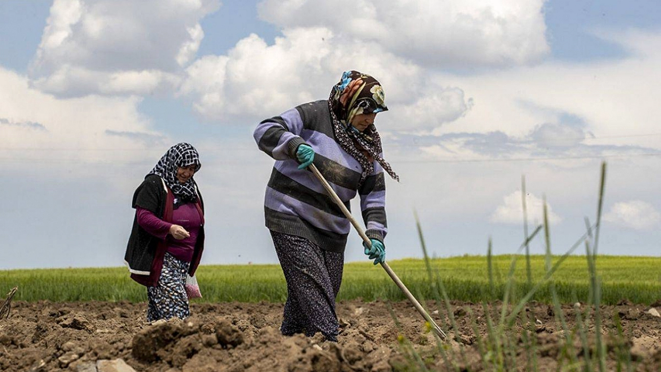Kale'de çiftçilere bilgilendirme toplantısı düzenlendi