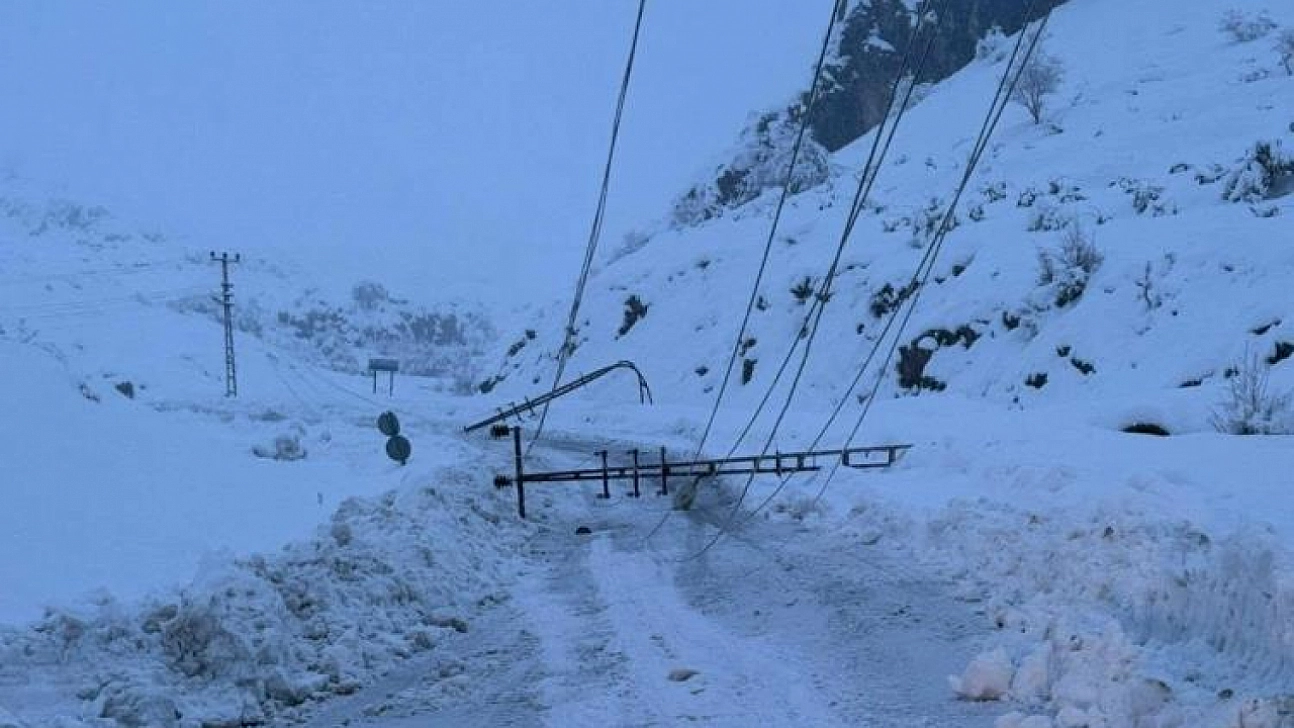 Kar yağışı nedeniyle devrilen elektrik direkleri yenilendi