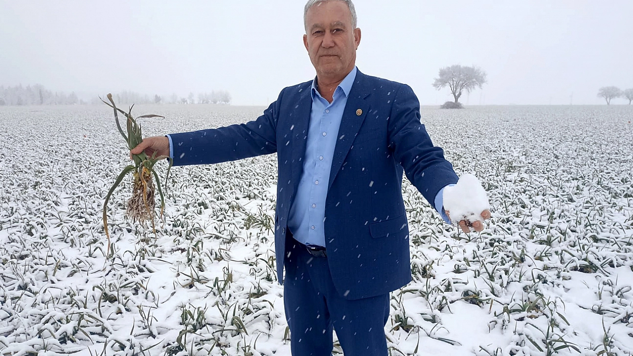 Kar yağışı üreticinin yüzünü güldürecek