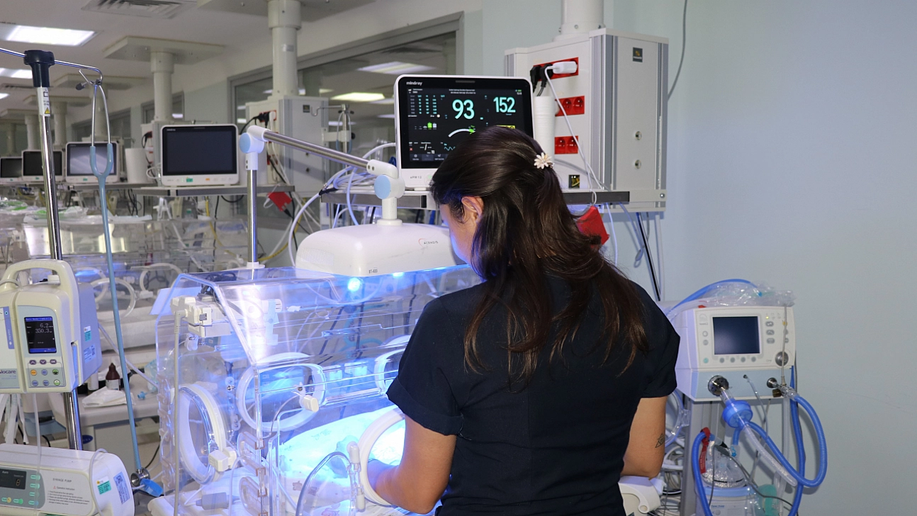 Küçük bedenleriyle büyük yaşam mücadelesi veriyorlar