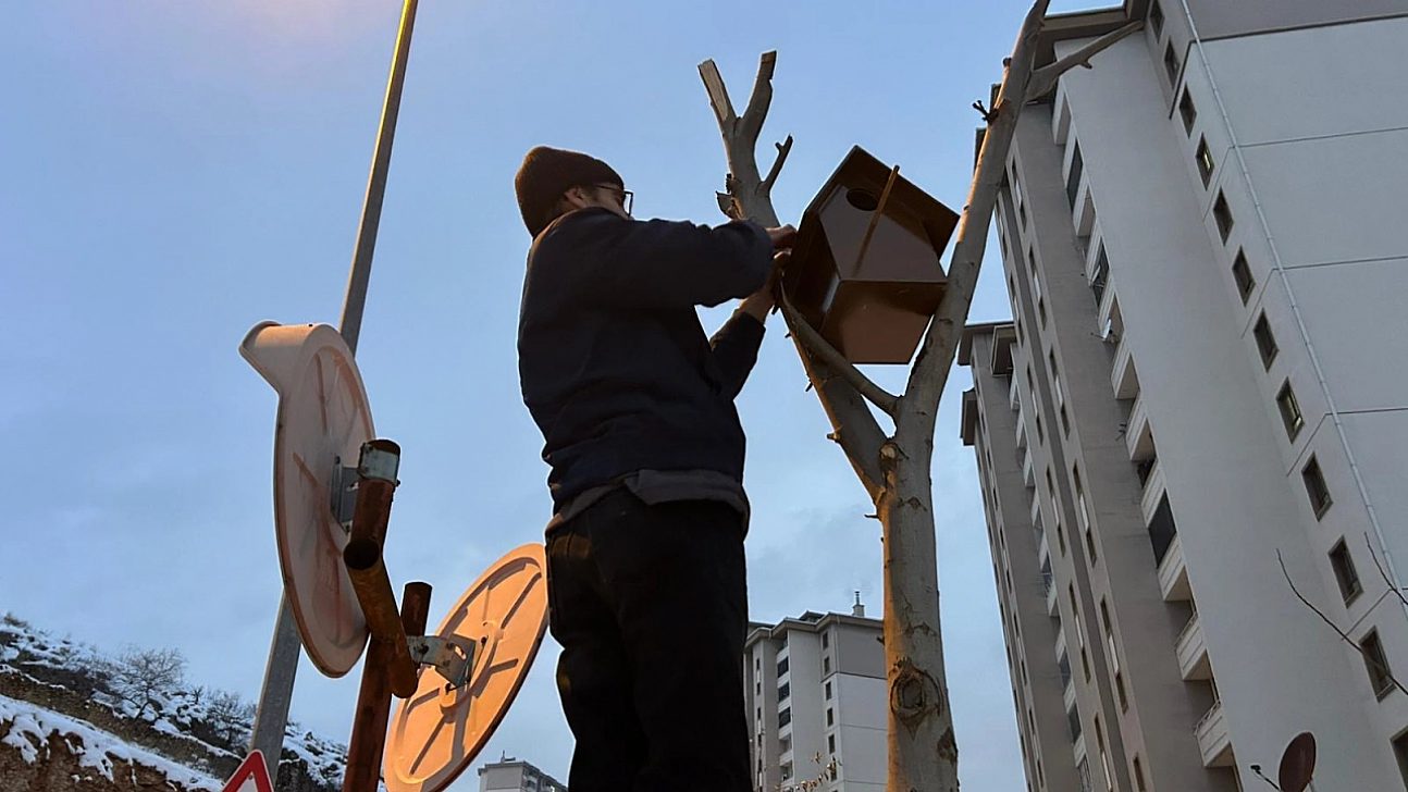 Kuşun donarak ölmesi tüm mahalleyi harekete geçirdi!