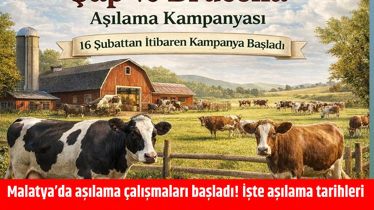 Malatya'da aşılama çalışmaları başladı! İşte aşılama tarihleri