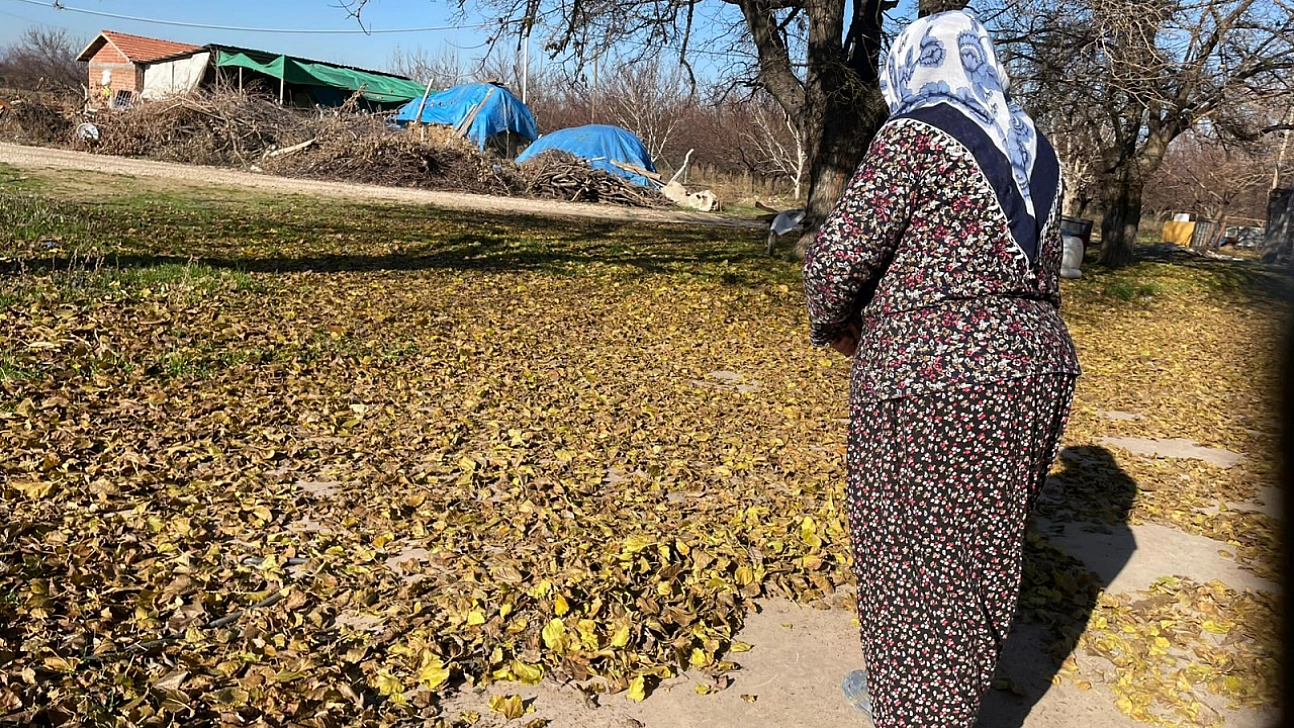 Malatya'da emeklilerin dramı: Kentte geçinemeyen köye yerleşti!