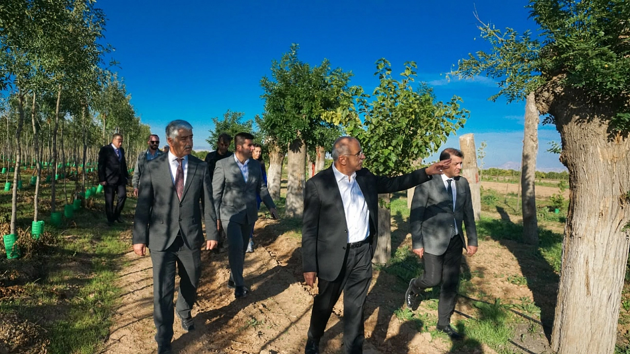 Malatya'da kesilmedi, taşındı: Ağaçların yüzde 80'i yeniden yeşerdi