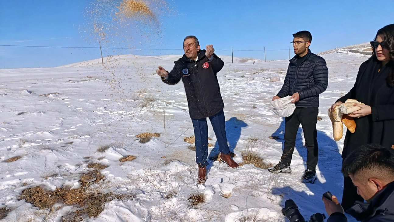 Malatya'da Zorlu Kış Seferberliği: Yaban Hayvanları İçin Yemleme Başladı