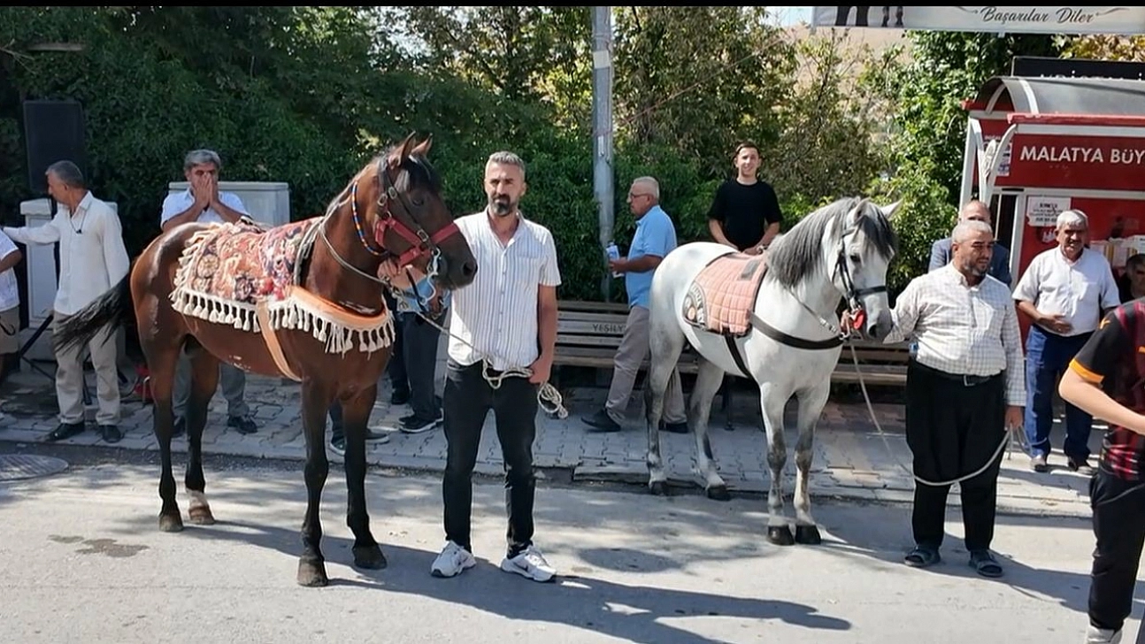 Malatya'nın şampiyon atı Kaçkar yeniden piste çıkıyor! Hedef Erzurum'da zafer