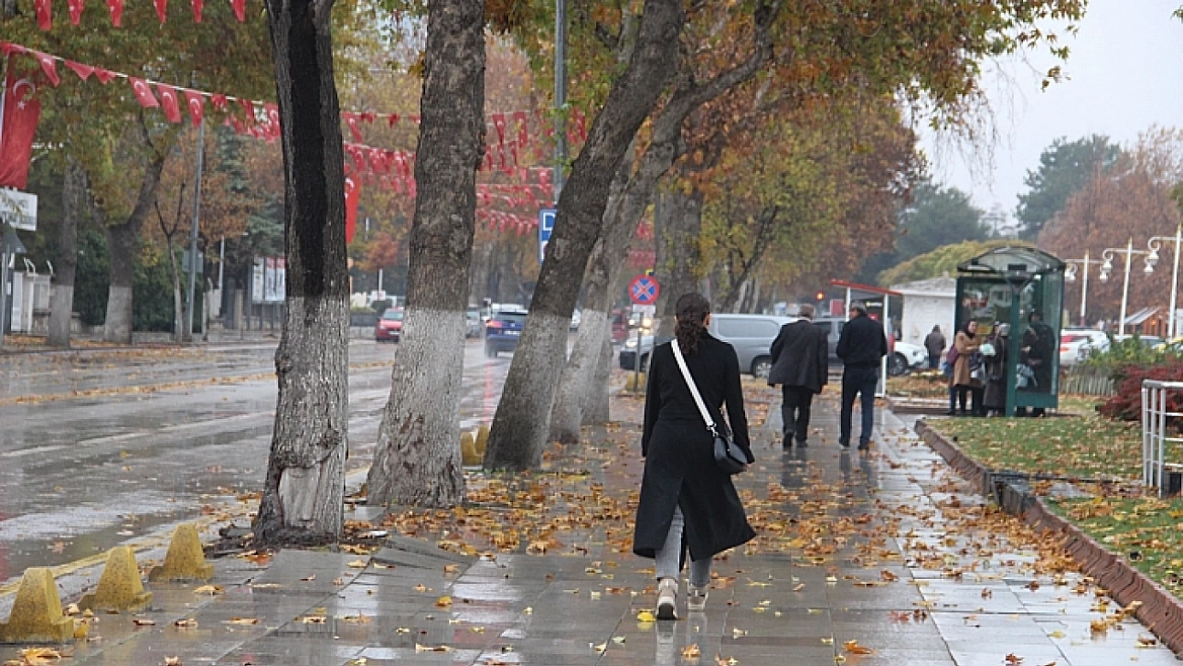 Malatya'ya kış erken geldi: Meteoroloji zirai don için uyardı…