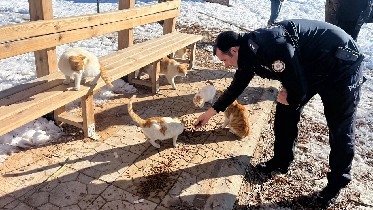 Polisler sokak hayvanları için mama bıraktı