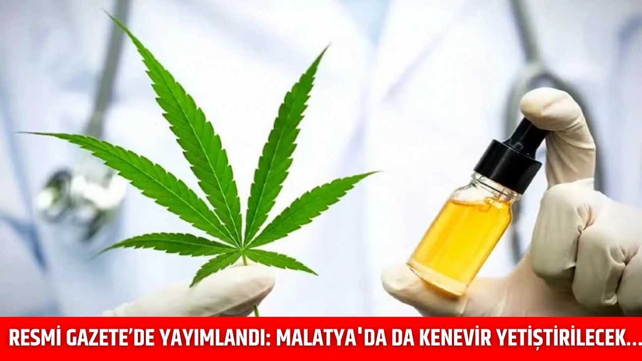 Resmi Gazete'de yayımlandı: Malatya'da da kenevir yetiştirilecek…