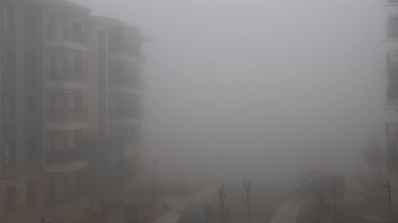 Sis etkisini sürdürüyor