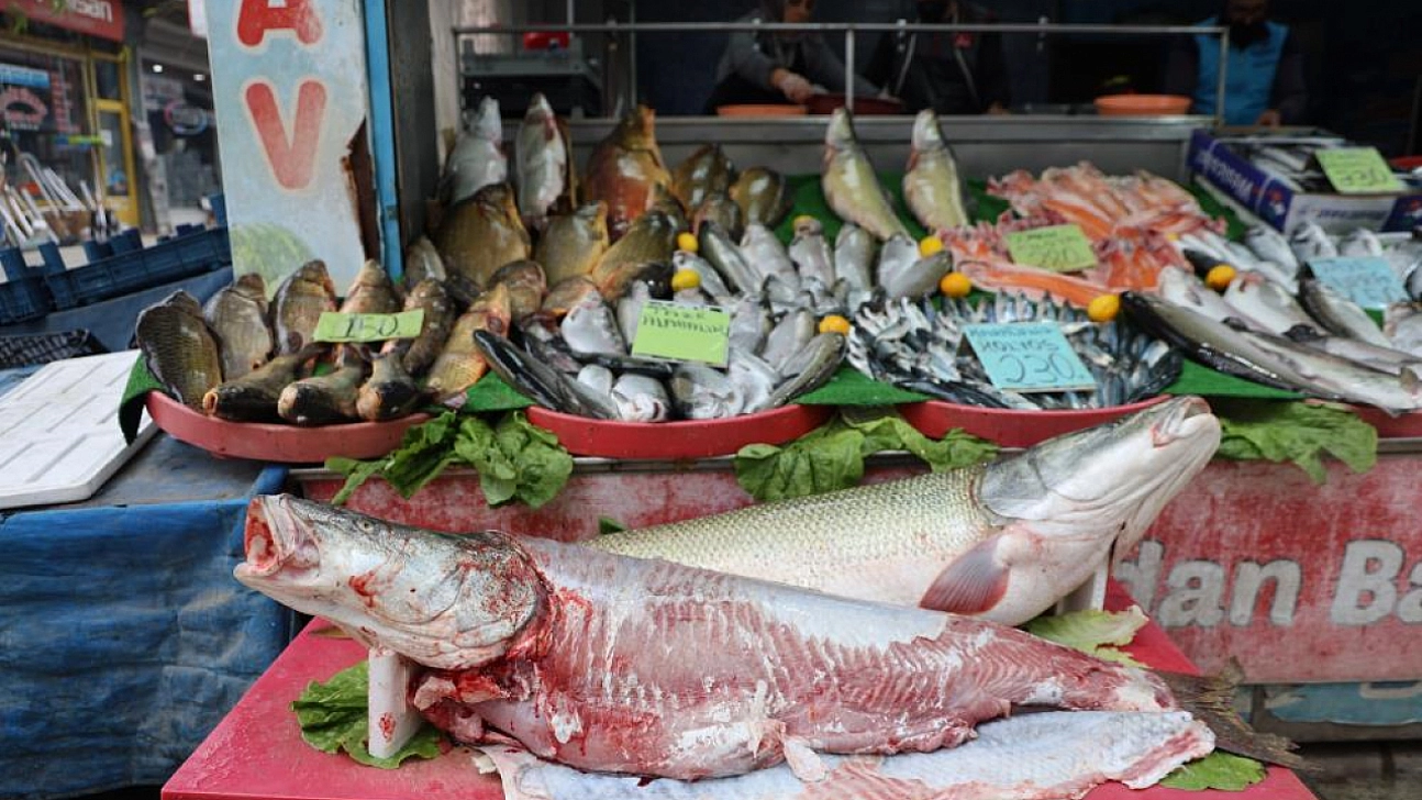 Soğuk havalarda vatandaşların balığa ilgisi artıyor